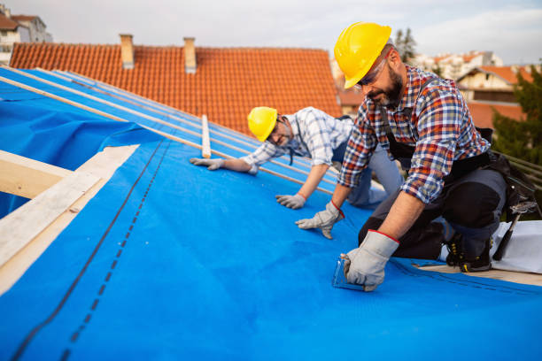 Best Emergency Roof Repair Services  in Petersburg, AK